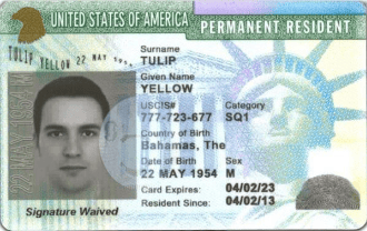 A United States Permanent Resident Card featuring the name, date of birth, and other personal details of the holder, with an image of the Statue of Liberty in the background.
