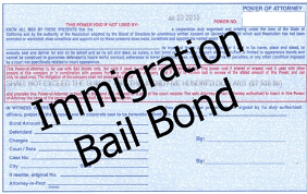 A legal document labeled 'Power of Attorney' with the words 'Immigration Bail Bond' prominently displayed across it.