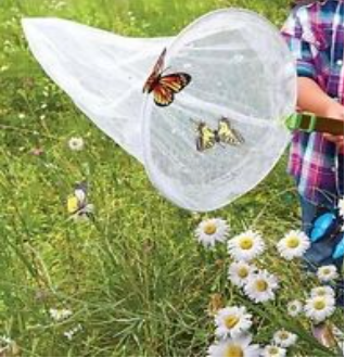 A child holding a butterfly net with butterflies inside it, surrounded by wildflowers in a grassy field.