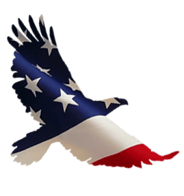 Eagle soaring with American flag design featuring stars and stripes.